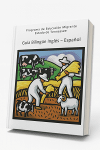 GUIA BILINGUE INGLES